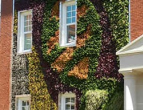 夏洛特皇后大学惊奇的植物墙设计