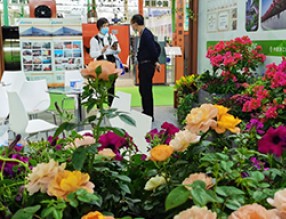 第二十二届中国国际花卉园艺展精彩开幕，先睹为快！