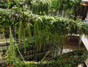 为都市丛林添加绿意的购物中心——曼谷EmQuartier商场
