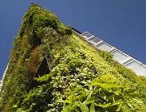 垂直绿化为伦敦雅典娜酒店增添生态色彩