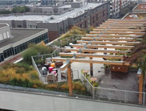 屋顶花园，说的就是Facebook西雅图分部