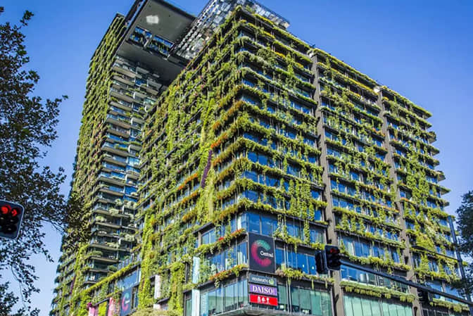 商业综合体景观提升建筑垂直绿化