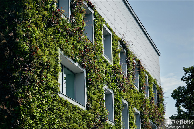 13 植物墙建筑绿化.jpg