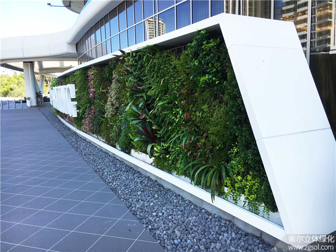 11 大门植物墙建筑绿化垂直绿化.jpg
